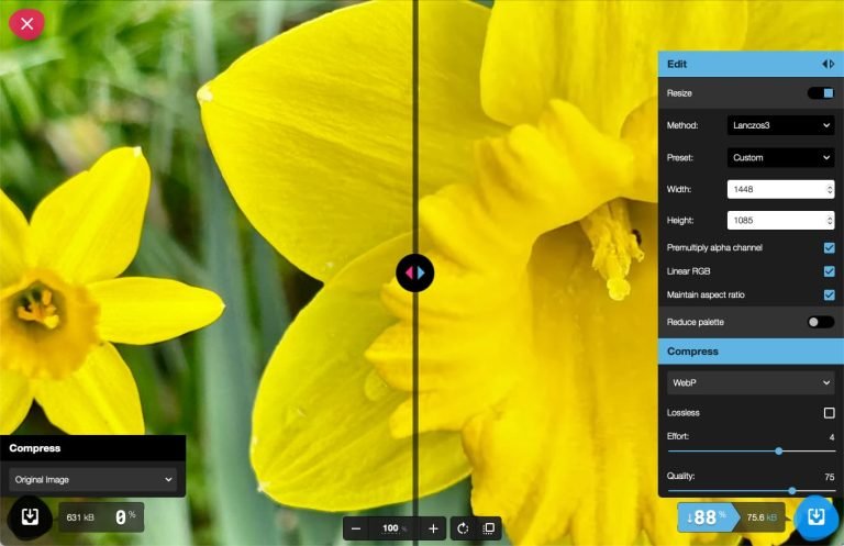 Squoosh, de online app voor scherpe en efficiënte afbeeldingen voor het web.